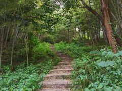 -紫金山山顶公园