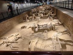 -洛阳周王城天子驾六博物馆