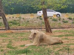 -秦皇岛野生动物园