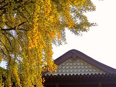 -郑和公园