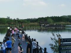 -溱湖国家湿地公园