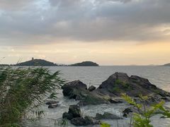 -上海市保健医疗中心