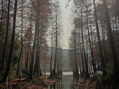 -广州市白云山风景名胜区
