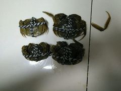 -喜洋洋蟹庄(阳澄湖店)