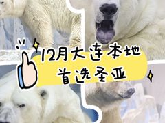 -大连圣亚海洋世界