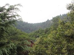 -腊山国家森林公园