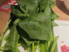 -季季红火锅(长沙步行街店)