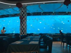 -瑞德姆美人鱼海底演艺主题餐厅(亚龙湾店)
