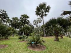 -中国科学院西双版纳热带植物园
