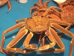 帝王蟹刺身-蟹道乐(道顿堀本店)