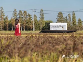 真实地反映历史和当下，应该是真挚而坦诚的