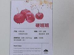 -Echo回声黑胶唱片咖啡馆