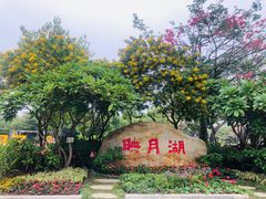 -映月湖公园