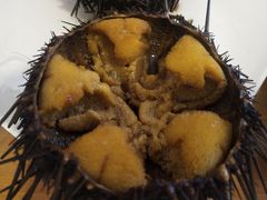 -海胆小馆(东北水饺·春柳店)