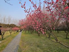 -蜀冈西峰生态公园