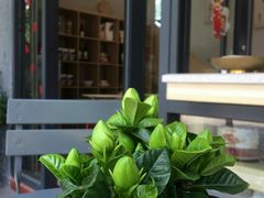 -歎雪糕低糖低脂Gelato冰淇淋