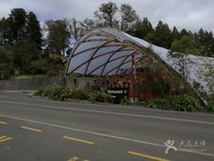 -怀托摩萤火虫洞