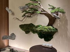 -揽季锅物会.福建黄鱼.海鲜姿造(五四路店)