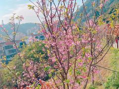 -小南山公园