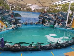 -上海野生动物园