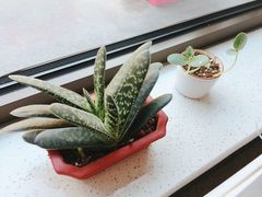 -一兆韦德健身·城市运动馆