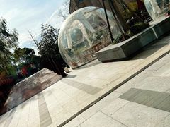 -上海崇明金茂凯悦酒店