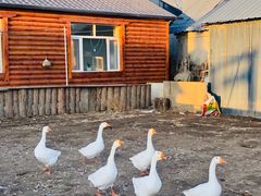 -北极村旅游风景区