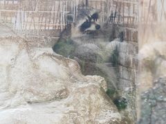 -J Create城市露营咖啡·简餐·宠物(上海动物园店)