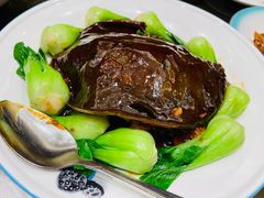 冰糖甲鱼-上海老饭店(北京分店)