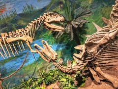 -自贡恐龙博物馆