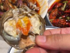 -杨氏青龙虾·羊蝎子(金盛路总店)
