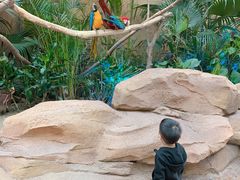 -杭州开元森泊度假乐园