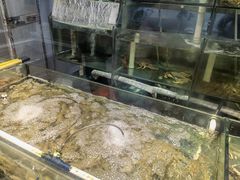 -金地利海鲜酒楼(清凉门店)