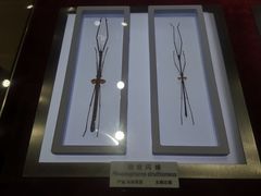 -上海昆虫博物馆