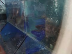 -鱼酷活鱼烤鱼(沈阳大悦城店)