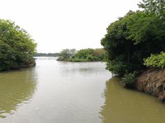 -大湾区中央湿地公园