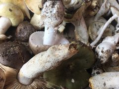 -兴福老面馆(寺路街店)