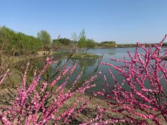 -东郊湿地公园