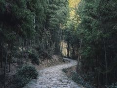-仙霞关景区