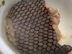 -荔城生鲜盛宴(番禺旗舰店)