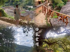 -杨家堂村