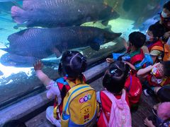 -蕃茄田艺术(普陀长风大悦城中心)