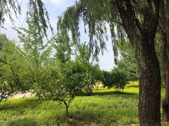 -野鸭湖国家湿地公园