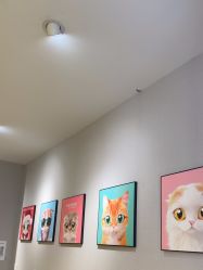 -洗脸猫·洗脸吧
