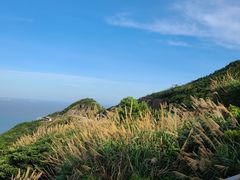 -温岭石塘海边