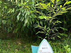 -安吉竹博园