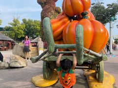 -大连海昌发现王国主题公园