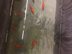 -小龙坎老火锅(北京三里屯店)