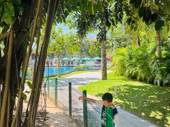 -三亚海棠湾万丽度假酒店