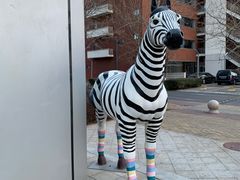 -ZOO COFFEE 动物园咖啡(亦庄店)